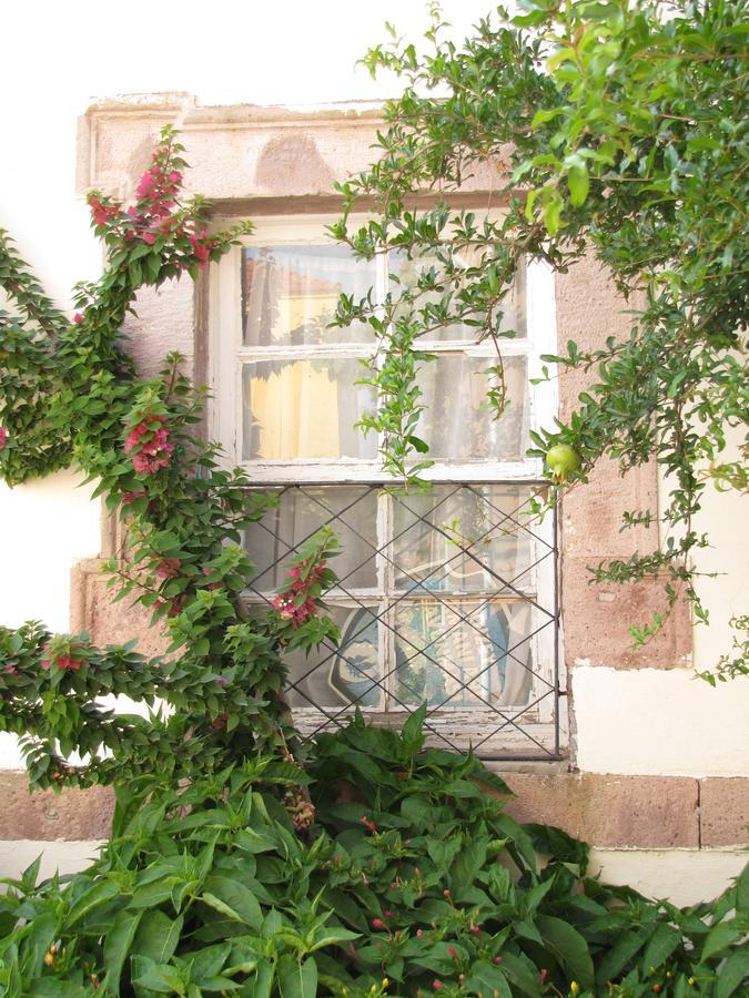 Eolos House Cunda Ayvalik Bagian luar foto
